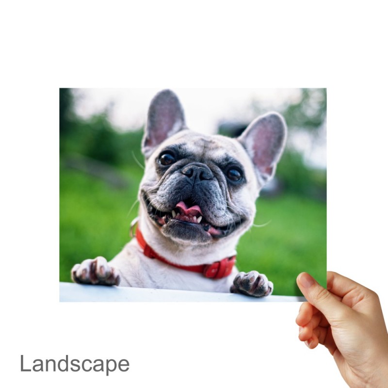 Advanced Imagewerx 8"x10" StudioQuality Photo Print